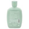BALANCING LOW SHAMPOO 250ml 2