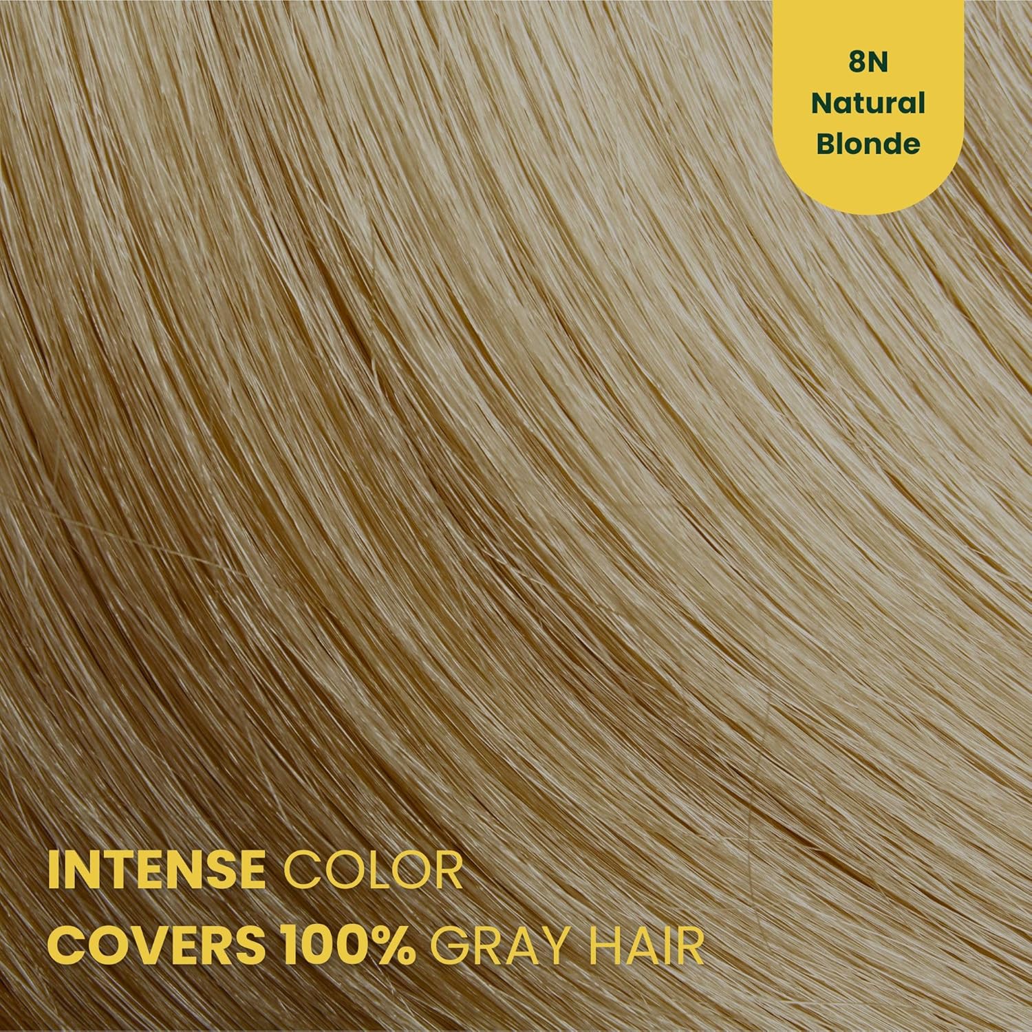 91V x5V3 AL. AC SL1500