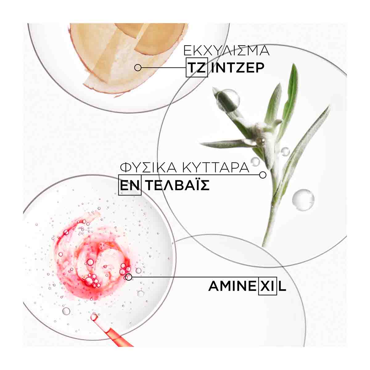 Kerastase Genesis Bain Nutri Fortifiant 3474636858033 4