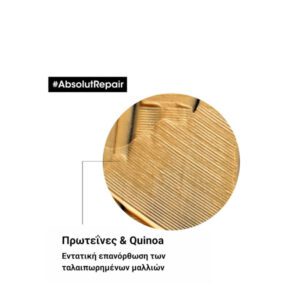 loreal professionnel new serie expert absolut repair golden mask 2