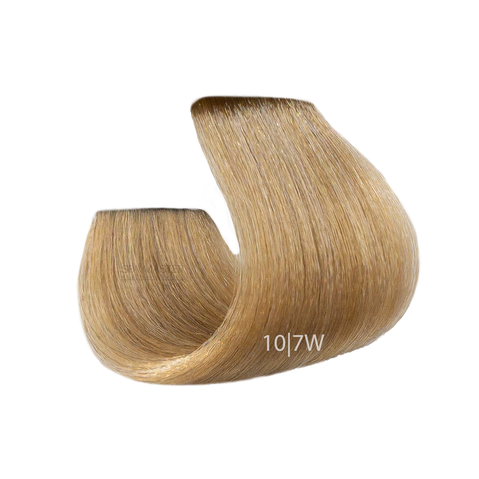 cream 107W 02 cream 107W 02