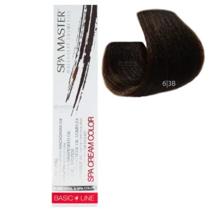 6/3B Dark beige blonde SPA Cream Color Professional coloring for hair