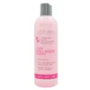 spa master lifting collagen shampoo 01 spa master lifting collagen shampoo 01