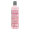 spa master lifting collagen shampoo 02 spa master lifting collagen shampoo 02