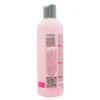 spa master lifting collagen shampoo 03 spa master lifting collagen shampoo 03
