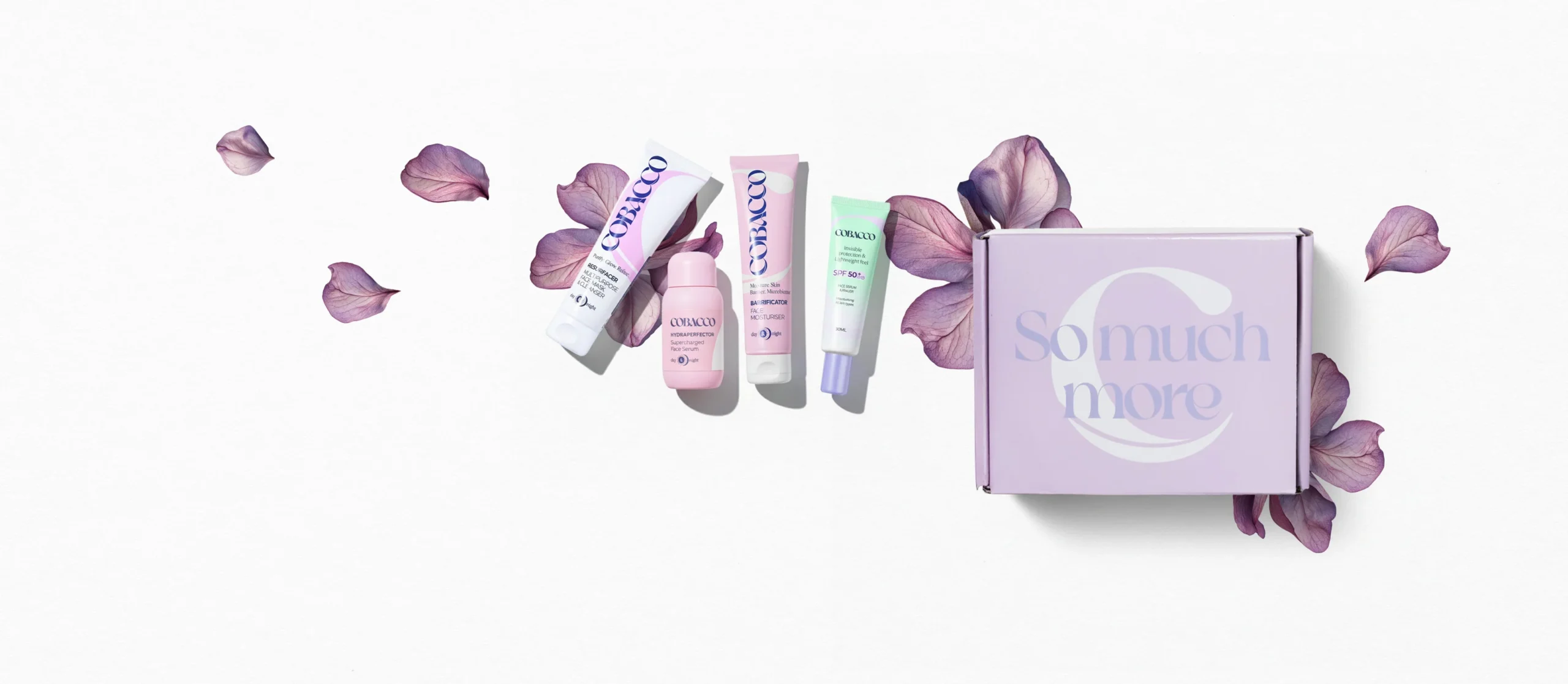 home header limited box web compressed 50dfabe8 1d9e 40b6 b175 80775d48f740 home header limited box web compressed 50dfabe8 1d9e 40b6 b175 80775d48f740